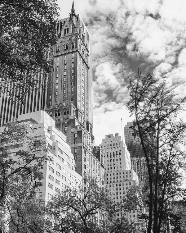 Picture of NYC PARK AVE