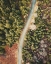 Picture of ROAD TO THE CABIN