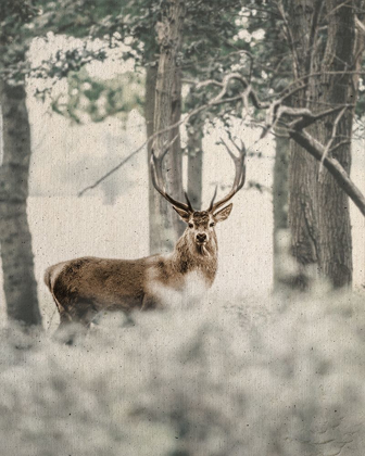 Picture of TEXTURED DEER