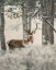 Picture of TEXTURED DEER