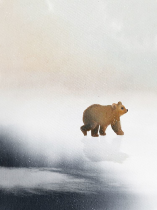 Picture of BEAR ON ICE