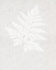 Picture of FERN WALL ART