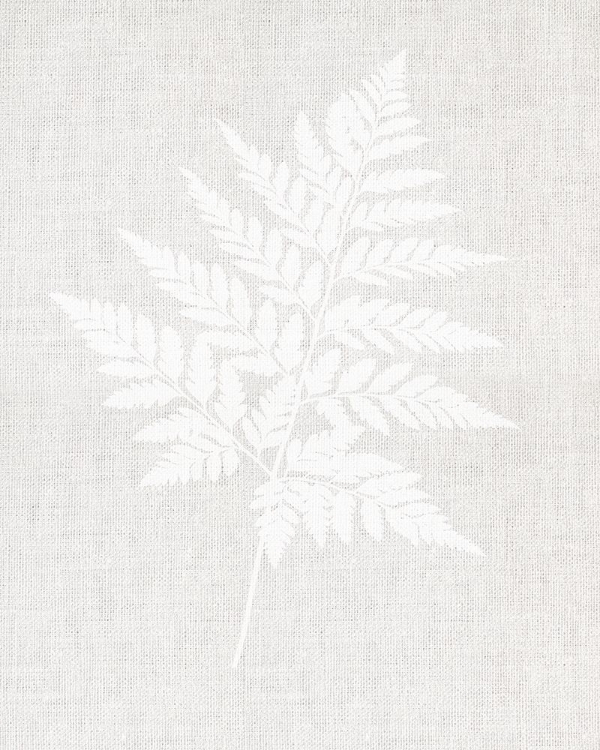 Picture of FERN WALL ART