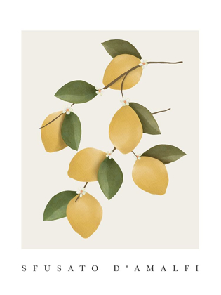 Picture of AMALFI LEMONS