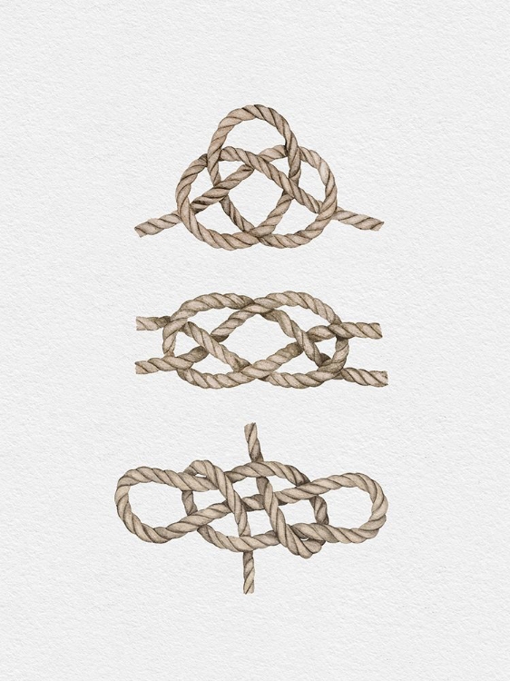 Picture of SAILOR KNOTS