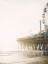 Picture of ROSY PIER