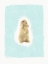 Picture of FLUFFY BUNNY