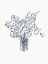 Picture of BLUE FLORALS