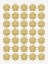 Picture of GILDED FLOWERS