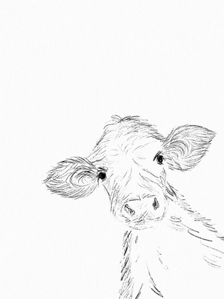 Picture of HELLO COW