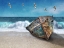 Picture of SHIPWRECKED