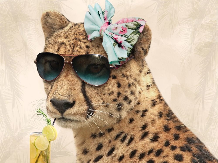 Picture of COOL SAFARI CAT