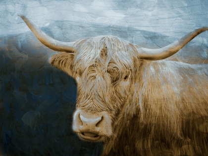 Picture of MARVELOUS HAIRY BULL