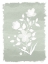 Picture of WATERCOLOR FLORALS 2