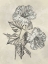 Picture of MUTED FLORAL SKETCHES 2