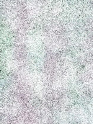Picture of PRETTY LAWN