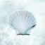 Picture of SEASIDE INFUSED SHELL 1