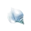 Picture of SEASIDE SHELL 3