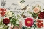 Picture of VINTAGE GARDEN FLORAL