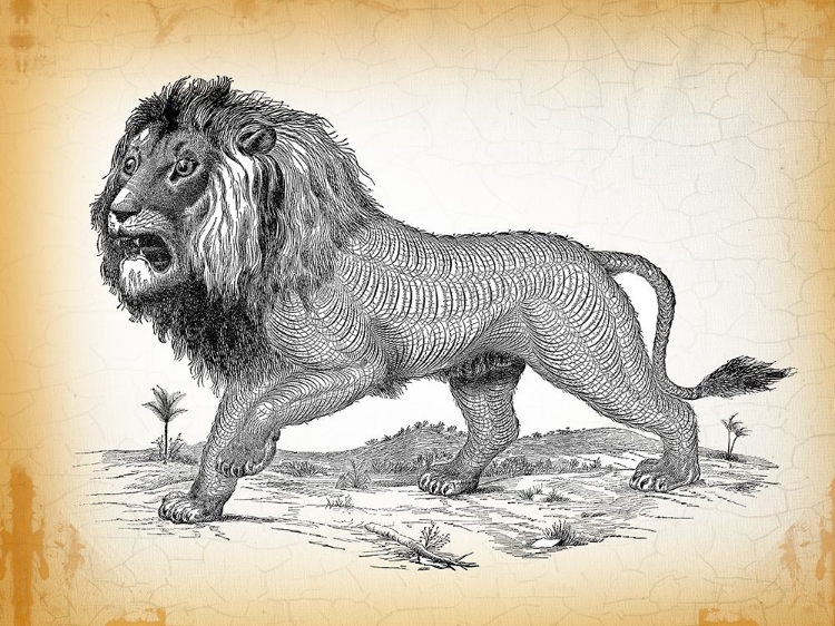 Picture of INDUSTRIAL LION