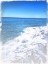 Picture of BLUE SKIES