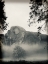 Picture of MISTTY MOUNTAINS