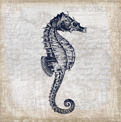 Picture of SEA HORSE ON CREAM