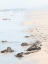 Picture of PEACEFUL BEACH