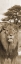 Picture of JUNGLE KING 2