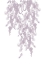 Picture of WEEPING WILLOW MAUVE SPLASH 1