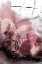 Picture of ROSE TINTED VISION