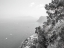 Picture of GULF OF NAPLES-CAPRI-ITALY