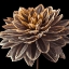 Picture of DAHLIA FLOWER CLOSE-UP