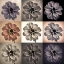 Picture of COLLAGE OF DAHLIAS FLOWERS