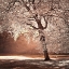 Picture of AUTUMN TREE IN SUNLIGHT