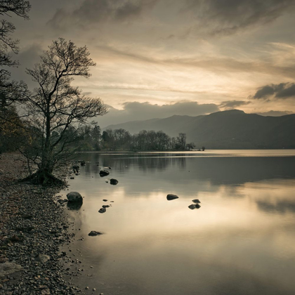 Picture of STILL LAKE AT DUSK