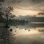 Picture of STILL LAKE AT DUSK
