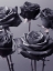 Picture of CLOSE-UP OF ROSES ON COLORED BACKGROUND