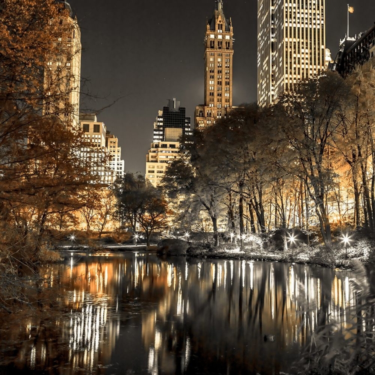 Picture of EVENING VIEW OF CENTRAL PARK IN NEW YORK CITY