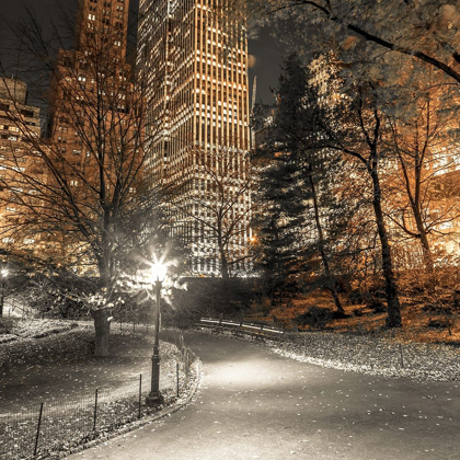 Picture of EVENING VIEW OF CENTRAL PARK IN NEW YORK CITY