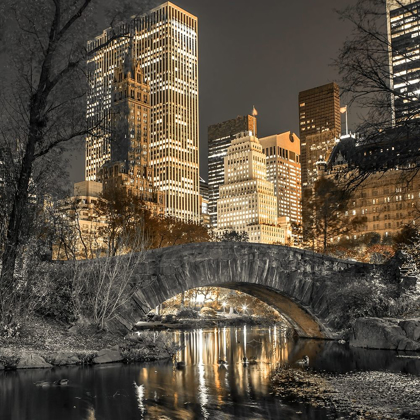 Picture of EVENING VIEW OF CENTRAL PARK IN NEW YORK CITY