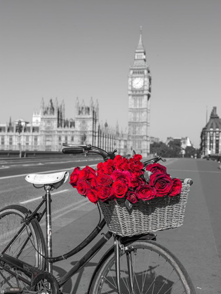 Picture of BICYCLE WITH BUNCH OF FLOWERS ON WESTMINSTER BRIDGE-LONDON-UK