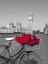Picture of BICYCLE WITH BUNCH OF FLOWERS ON WESTMINSTER BRIDGE-LONDON-UK