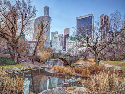 Picture of CENTRAL PARK WITH MANHATTAN SKYLINE-NEW YORK