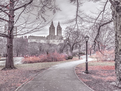Picture of PATHWAY THROUGH CENTRAL PARK-NEW YORK