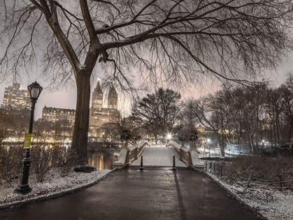 Picture of EVENING VIEW OF CENTRAL PARK-NEW YORK