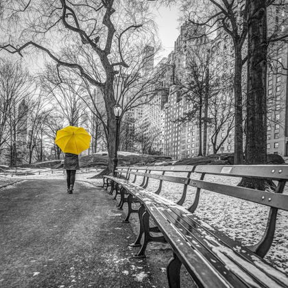 Picture of TOURIST ON PATHWAY WITH YELLOW UMBRELLA AT CENTRAL PARK-NEW YORK