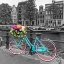 Picture of BICYCLE WITH BUNCH OF ROSES ON BRIDGE-AMSTERDAM