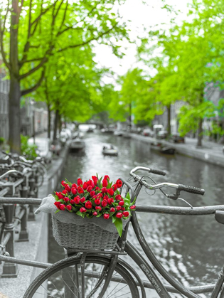 Picture of BICYCLE WITH BUNCH OF FLOWERS BY THE CANAL-AMSTERDAM