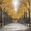 Picture of ROAD THROUGH TREES